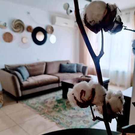 Rotem Home ハイファ エクステリア 写真